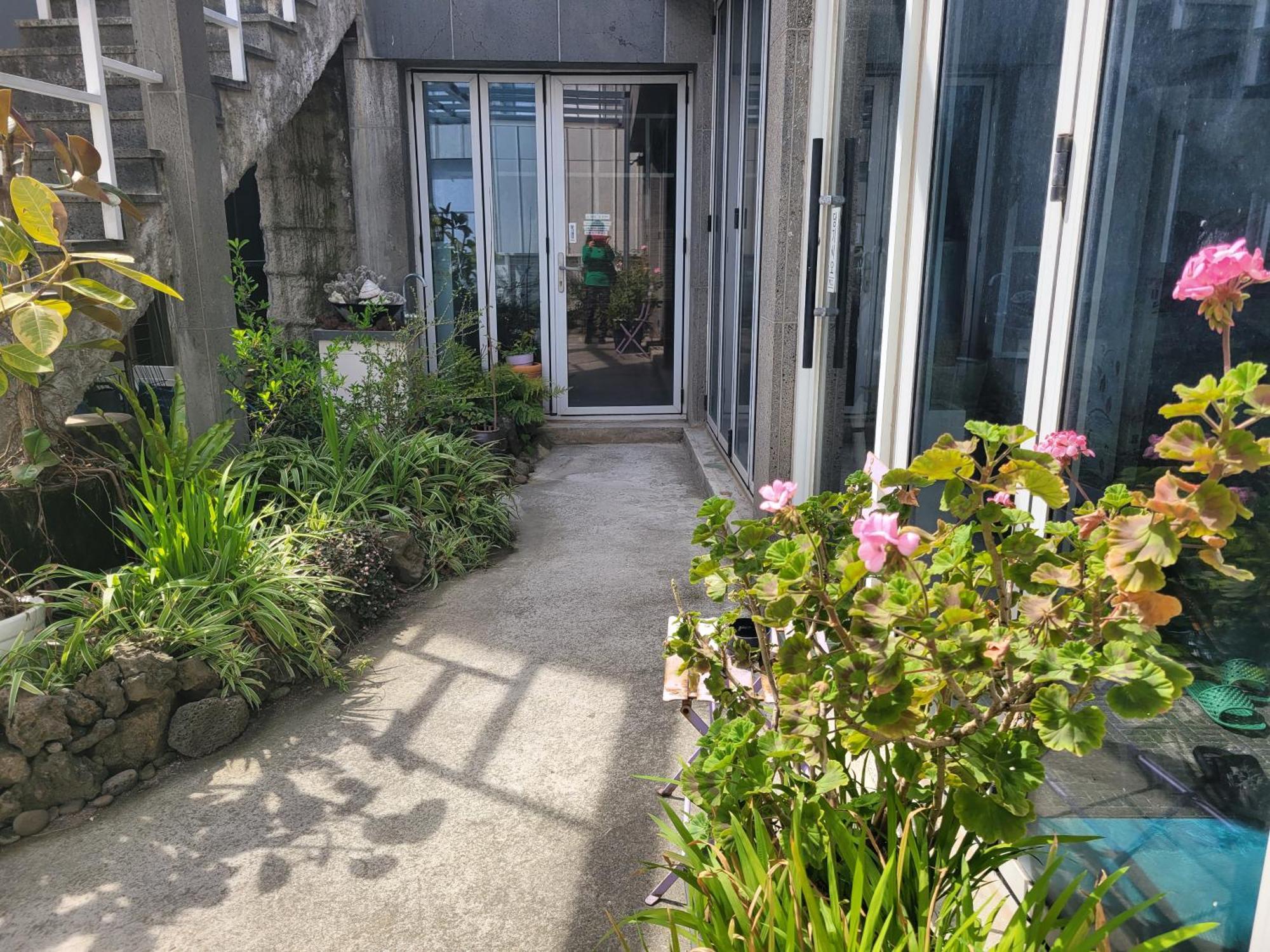 Jeju Vision House Ξενοδοχείο Εξωτερικό φωτογραφία